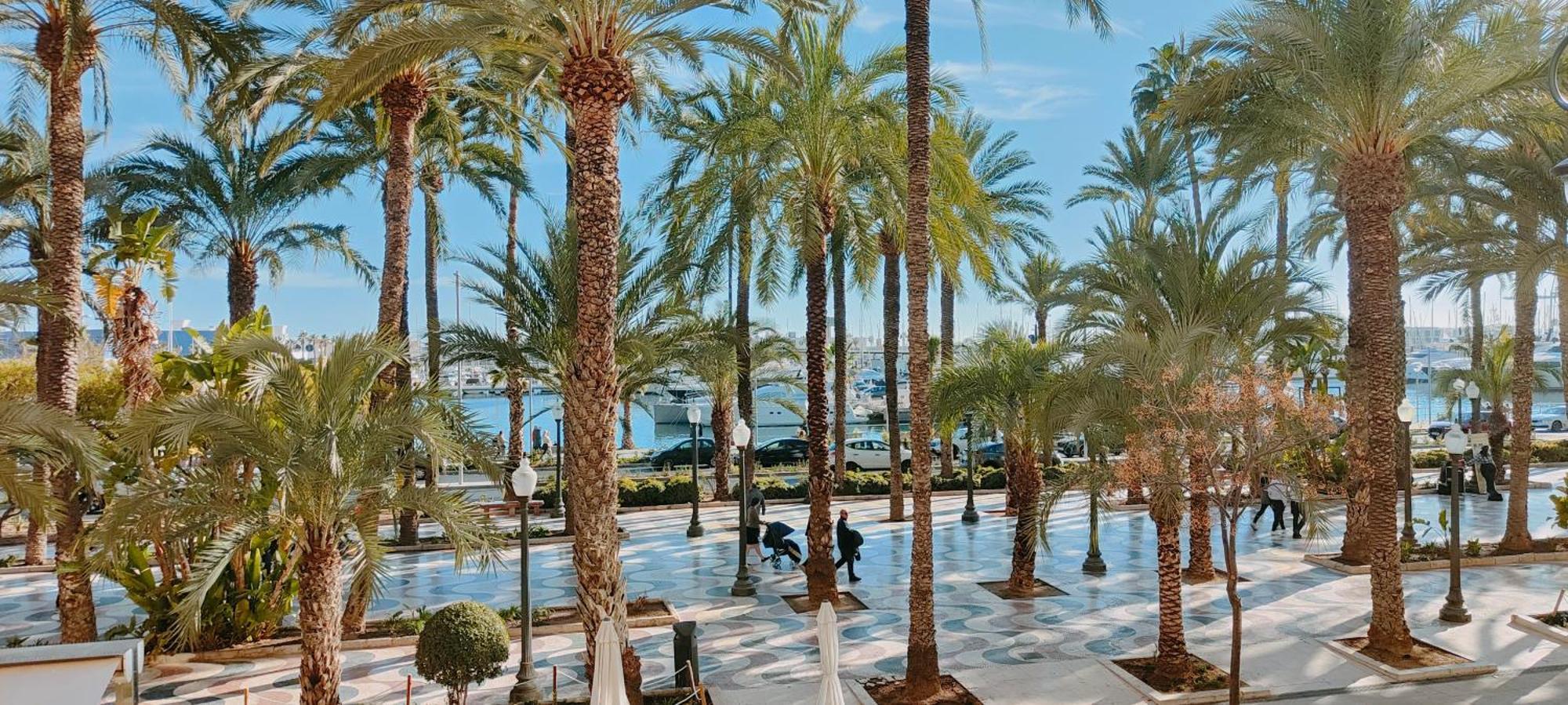 Alicantissima Marina & Beach Alicante Exterior foto